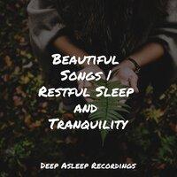 Beautiful Songs | Restful Sleep and Tranquility