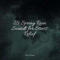 25 Spring Rain Sounds for Stress Relief