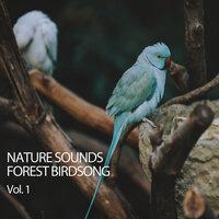 Nature Sounds Forest Birdsong Vol. 1
