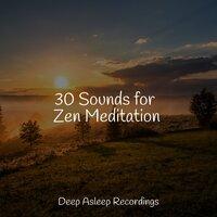 30 Sounds for Zen Meditation