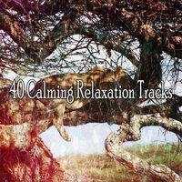 40 Calming Relaxation Tracks