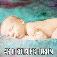 46 A Calming Album