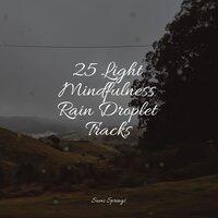 25 Light Mindfulness Rain Droplet Tracks