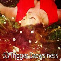 53 Trigger Drowsiness