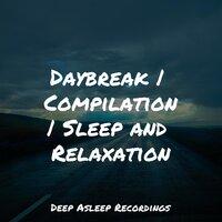 Daybreak | Compilation | Sleep and Relaxation
