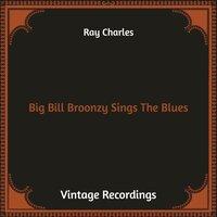 Big Bill Broonzy Sings the Blues