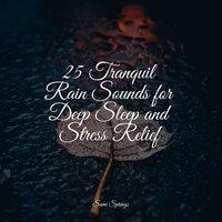 25 Tranquil Rain Sounds for Deep Sleep and Stress Relief