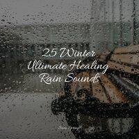 25 Winter Ultimate Healing Rain Sounds