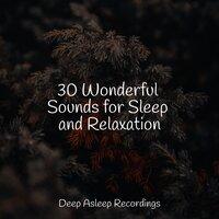 30 Wonderful Sounds for Sleep and Relaxation