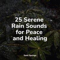 25 Serene Rain Sounds for Peace and Healing