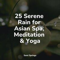 25 Serene Rain for Asian Spa, Meditation & Yoga