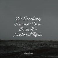 25 Soothing Summer Rain Sounds - Natural Rain