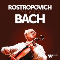 Rostropovich Plays Bach