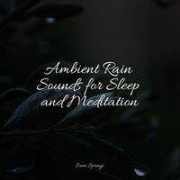 Ambient Rain Sounds for Sleep and Meditation