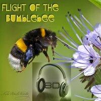 Flight of the Bumblebee - Nikolai Rimsky-Korsakov - 8D Binaural Sound