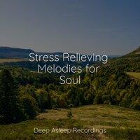 Stress Relieving Melodies for Soul