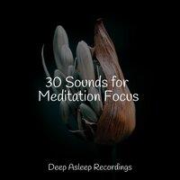 30 Sounds for Meditation Focus