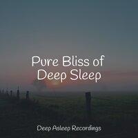 Pure Bliss of Deep Sleep