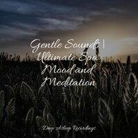 Gentle Sounds | Ultimate Spa Mood and Meditation