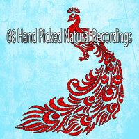 68 Hand Picked Natural Recordings