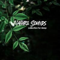 Nature Sounds Collection for Sleep