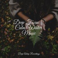 Deep Focus | Calm Winter Music