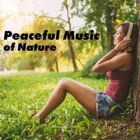 Peaceful Music of Nature: Sounds of a Water Stream, Birds Singing, Ocean Waves and Relaxing Piano Music