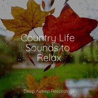 Country Life Sounds to Relax