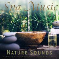 Spa Music: Bird Sounds, Forest Sounds, Nature Sounds and Ambient Flute Music For Spa, Massage Music, Yoga Music, Meditation Music, Sleeping Music, Studying Music, Healing, Wellness and Mindfulness