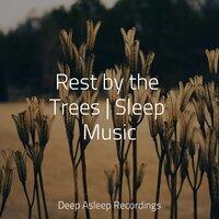 Rest by the Trees | Sleep Music