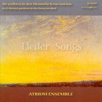 Chamber Music (German) - Schroeder, H. / Mendelssohn, Felix / Brahms, J. (As If Distant Gardens in the Heavens Died)