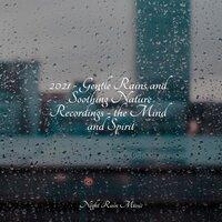 2021 - Gentle Rains and Soothing Nature Recordings - the Mind and Spirit