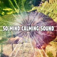 50 Mind Calming Sound