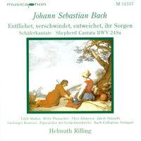 Bach, J.S.: Entfliehet, Verschwindet, Entweichet, Ihr Sorgen / Concerto for Oboe and Violin in D Minor