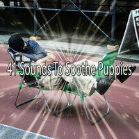 41 Sounds to Soothe Puppies