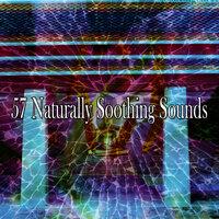 57 Naturally Soothing Sounds