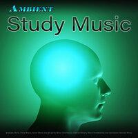 Ambient Studying Music: Binaural Beats, Theta Waves, Alpha Waves and Relaxing Music For Focus, Concentration, Music For Reading and Solfeggio Healing Music