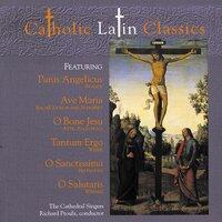 Catholic Classics, Vol. 4: Catholic Latin Classics