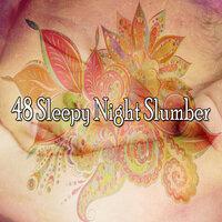 48 Sleepy Night Slumber