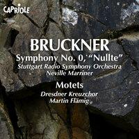 Bruckner, A.: Symphony No. 0  / Motets