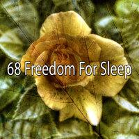 68 Freedom for Sle - EP