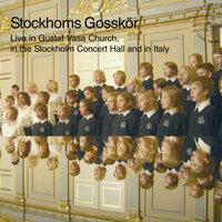 Stockholm Gosskör - Live in Gustaf Vasa Church, in the Stockholm Concert Hall and in Italy