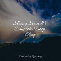 Sleepy Sounds | Complete Deep Sleep