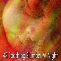 48 Soothing Slumber at Night