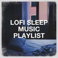 Lofi Sleep Music Playlist