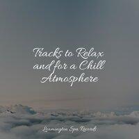 Tracks to Relax and for a Chill Atmosphere