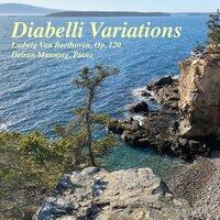 Diabelli Variations: XXIII: Allegro assai