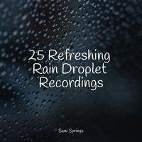 25 Refreshing Rain Droplet Recordings