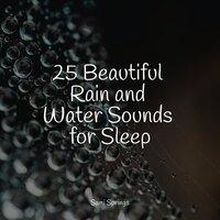 25 Beautiful Rain and Water Sounds for Sleep