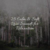 25 Calm & Soft Rain Sounds for Relaxation